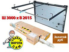 Doorhan RSD-01S 3000х2015 мм (зол. дуб)